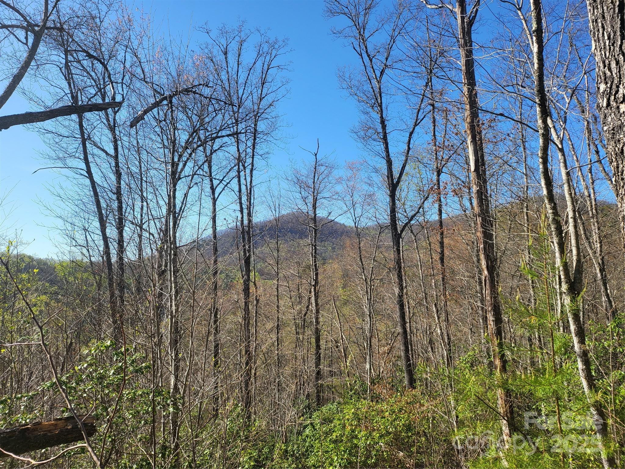 9999 Wayehutta Road Cullowhee NC 28723