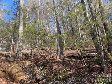 639 Conley Ridge Road Bakersville NC 28705