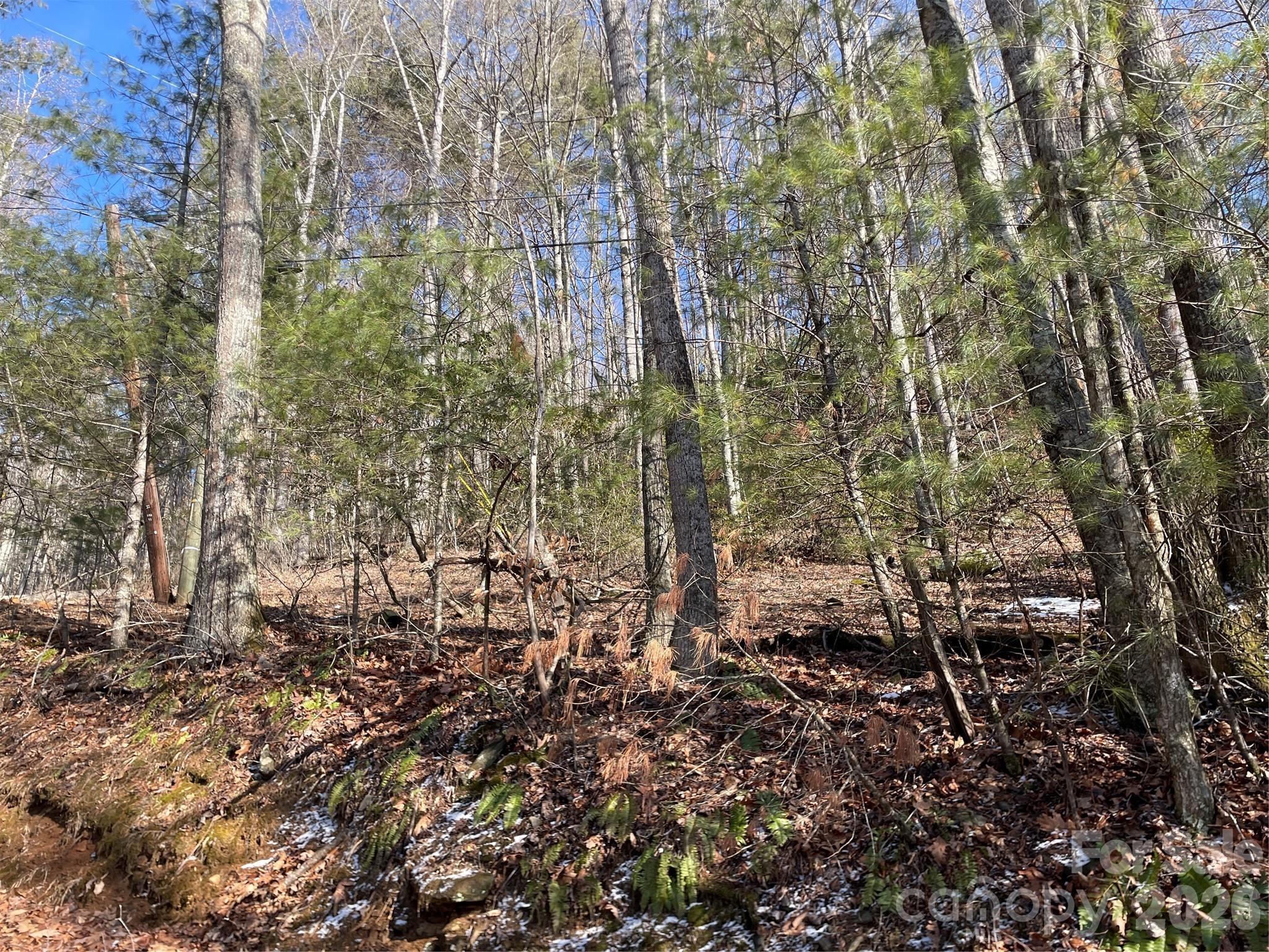 639 Conley Ridge Road Bakersville NC 28705