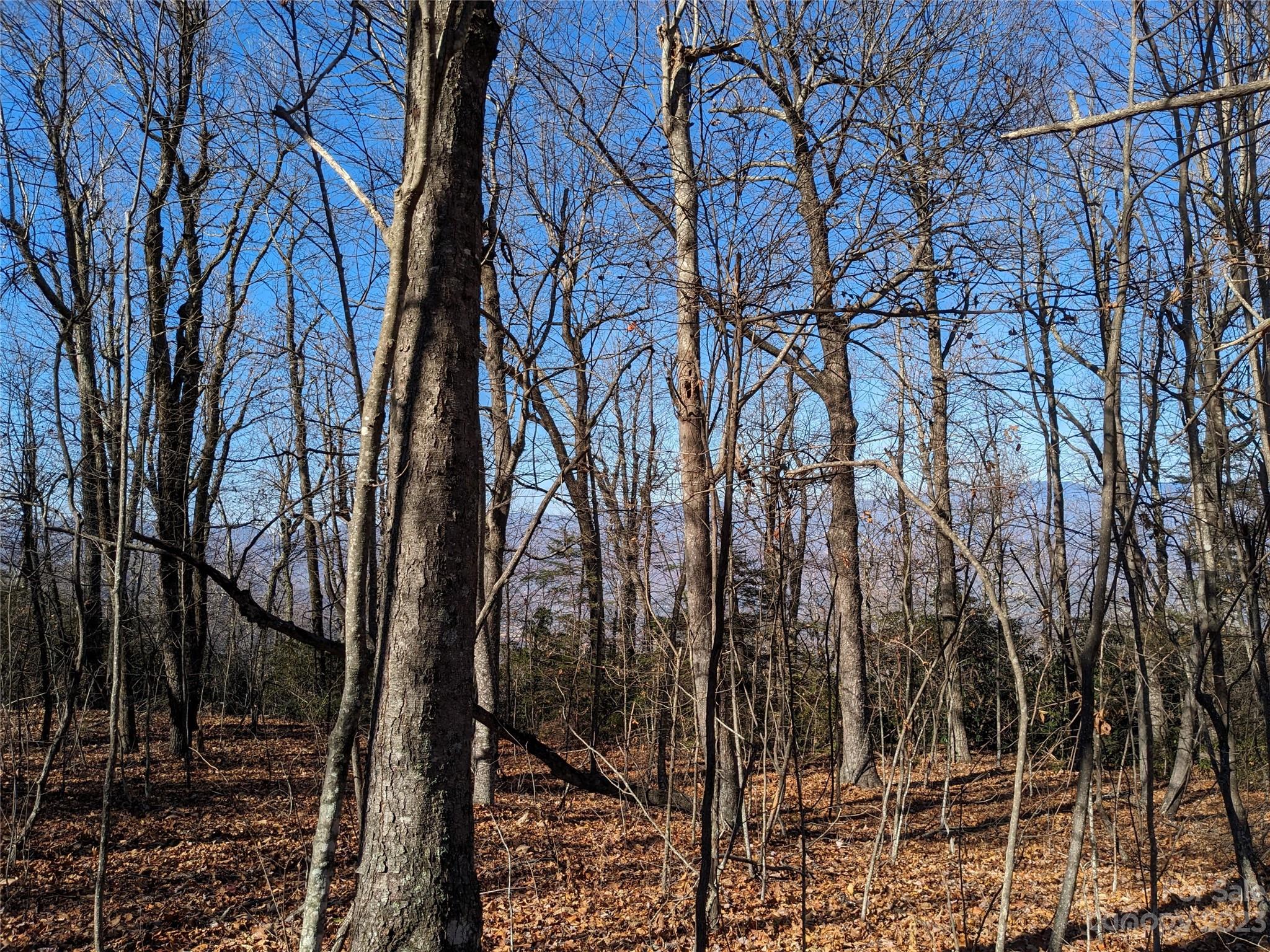 Tbd Wolf Pen Road Old Fort NC 28762