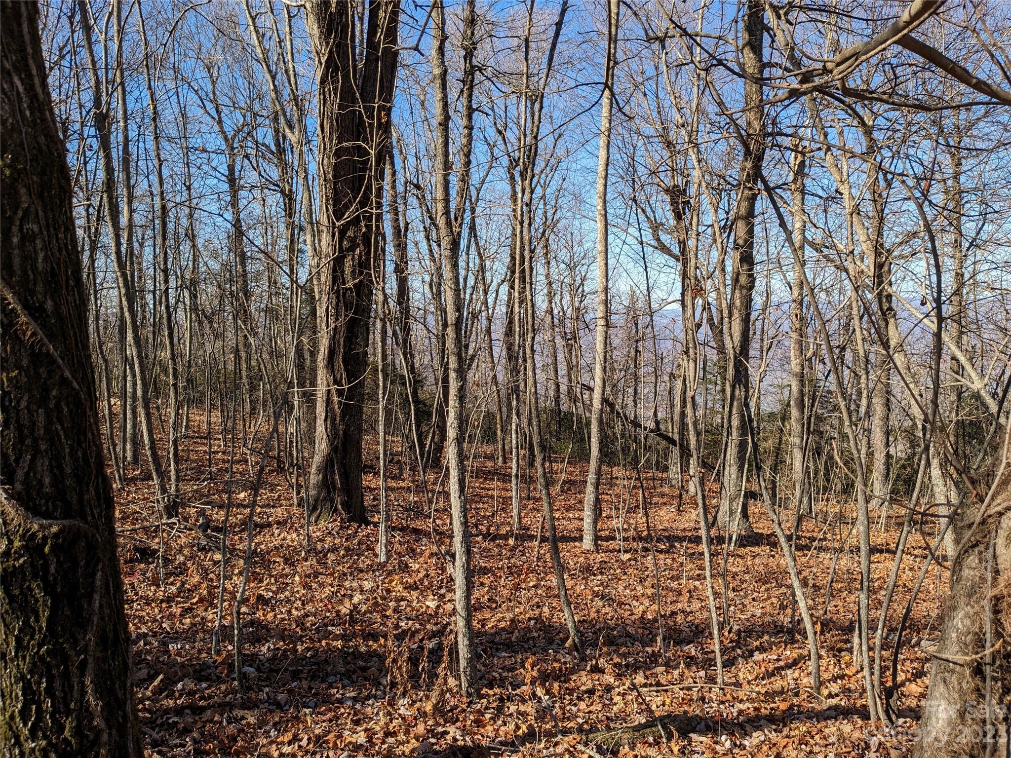 Tbd Wolf Pen Road Old Fort NC 28762