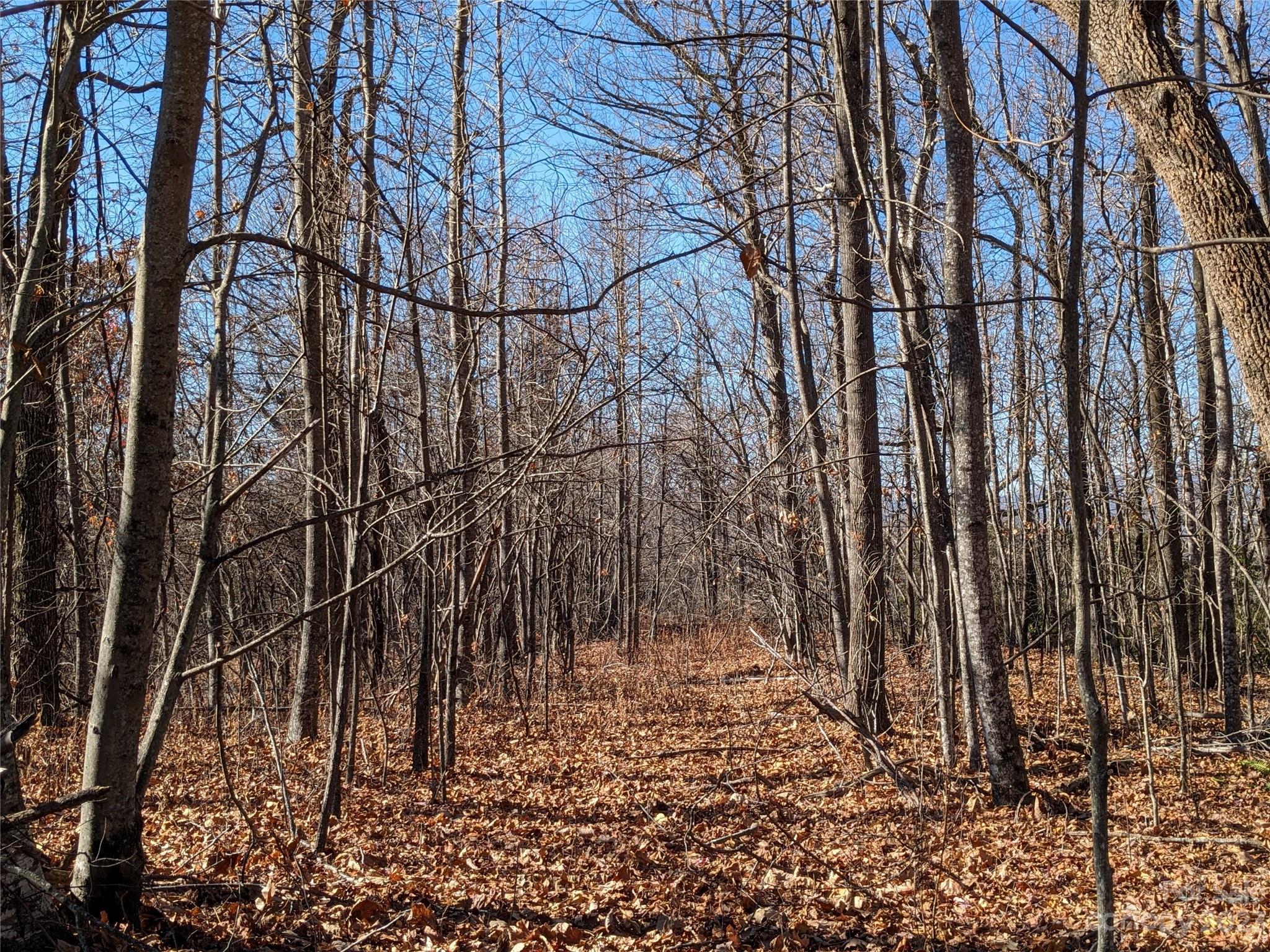 Tbd Wolf Pen Road Old Fort NC 28762