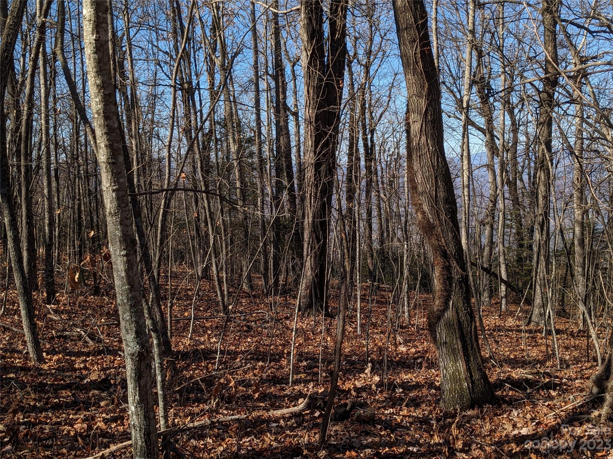 Tbd Wolf Pen Road Old Fort NC 28762