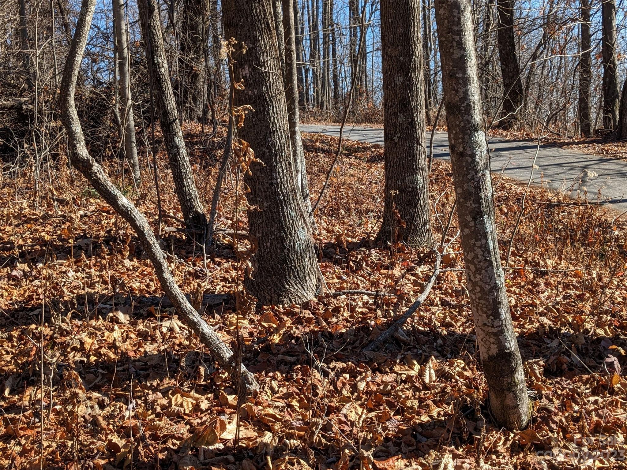 Tbd Wolf Pen Road Old Fort NC 28762