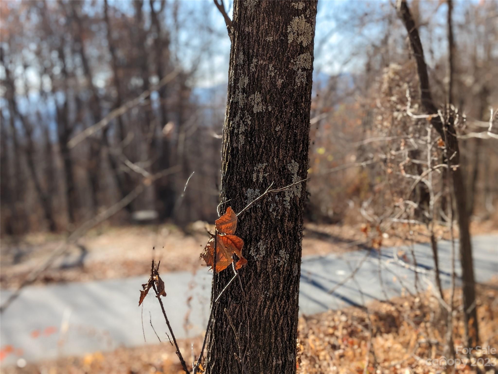 Tbd Wolf Pen Road Old Fort NC 28762