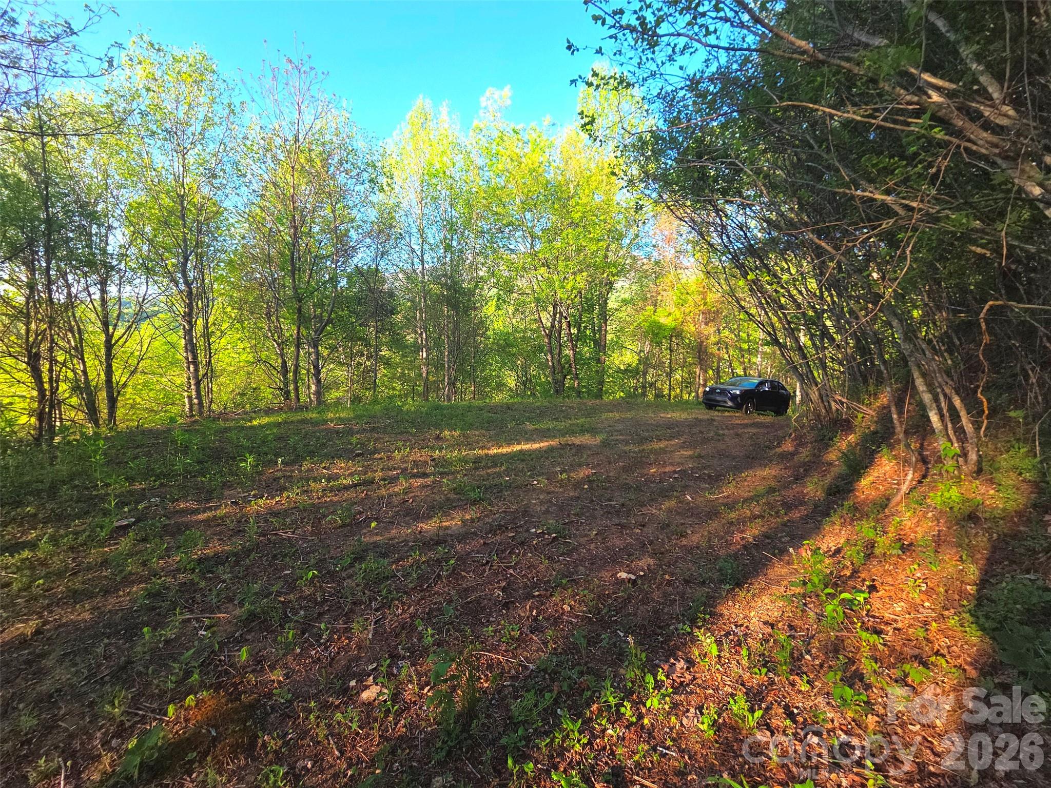 50 Turtle Rock Lane Waynesville NC 28785