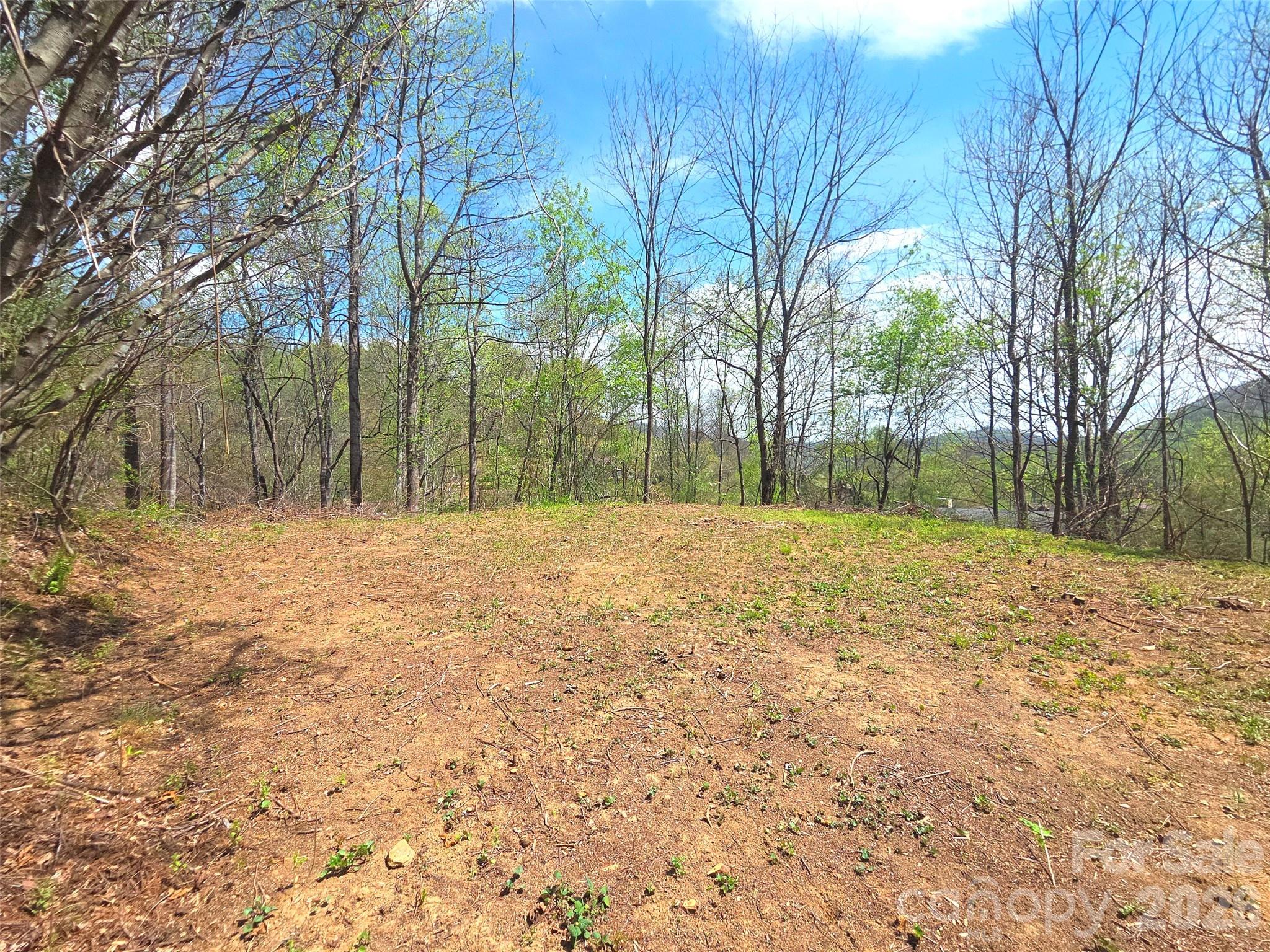 50 Turtle Rock Lane Waynesville NC 28785