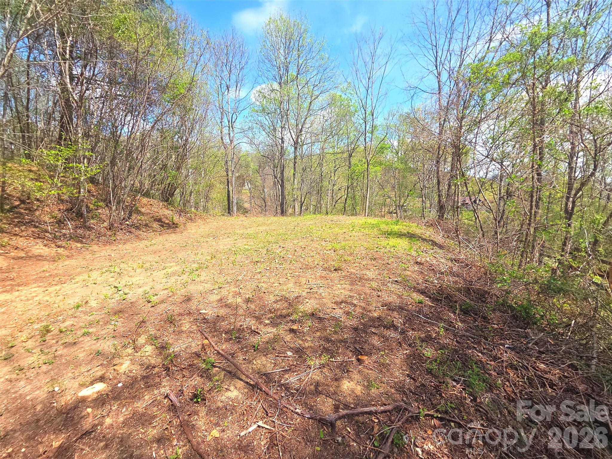 50 Turtle Rock Lane Waynesville NC 28785