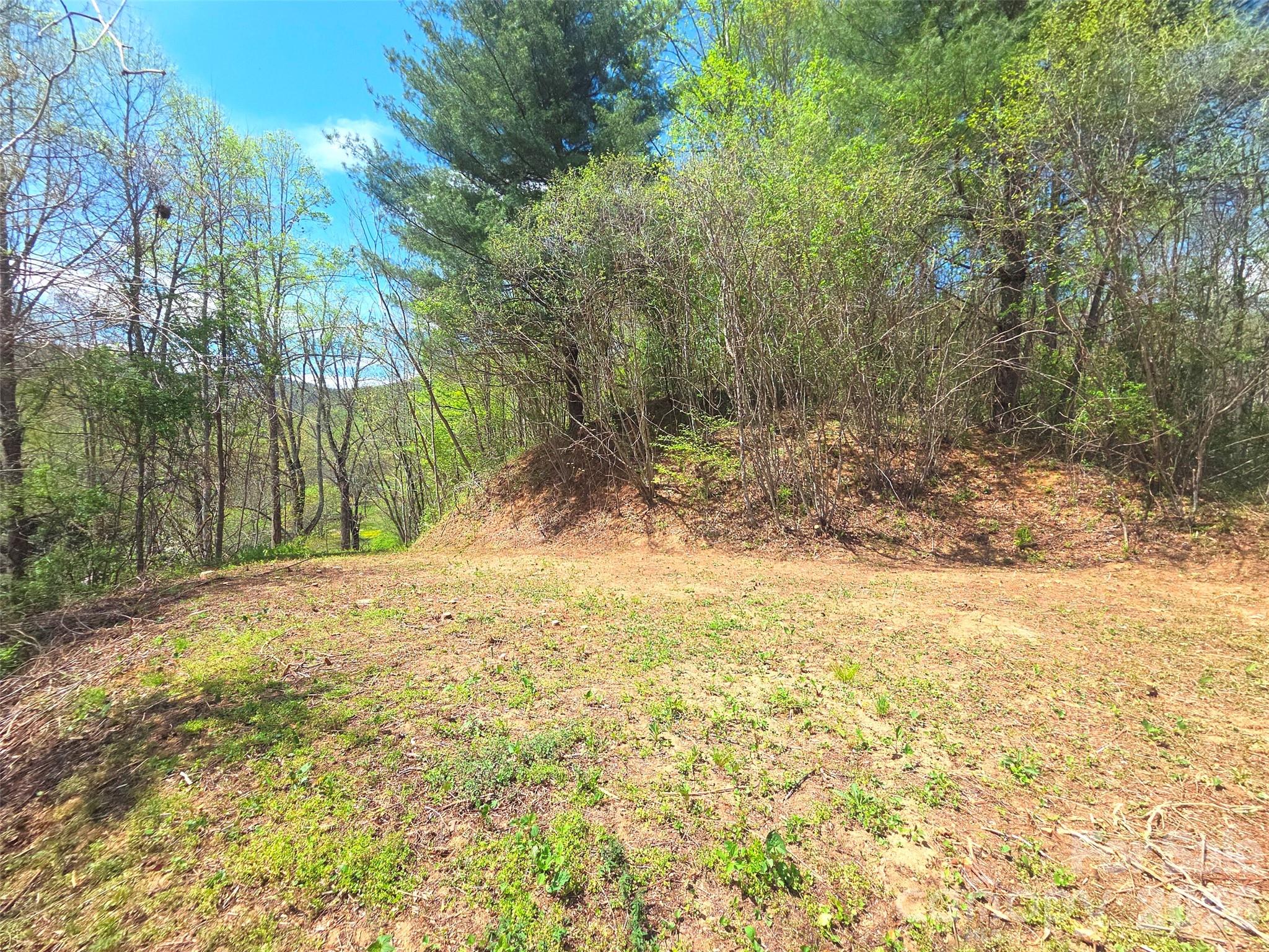 50 Turtle Rock Lane Waynesville NC 28785