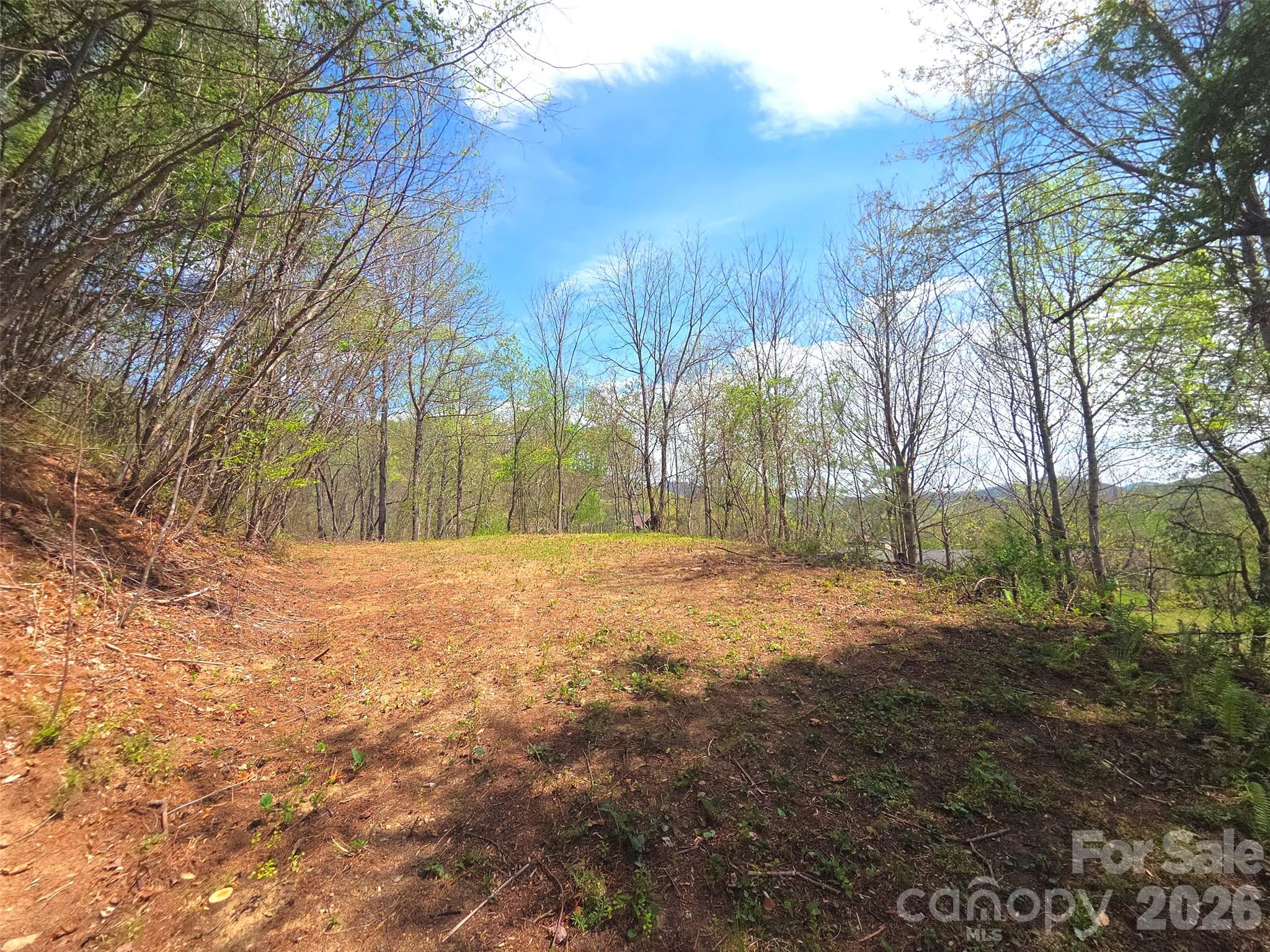 50 Turtle Rock Lane Waynesville NC 28785
