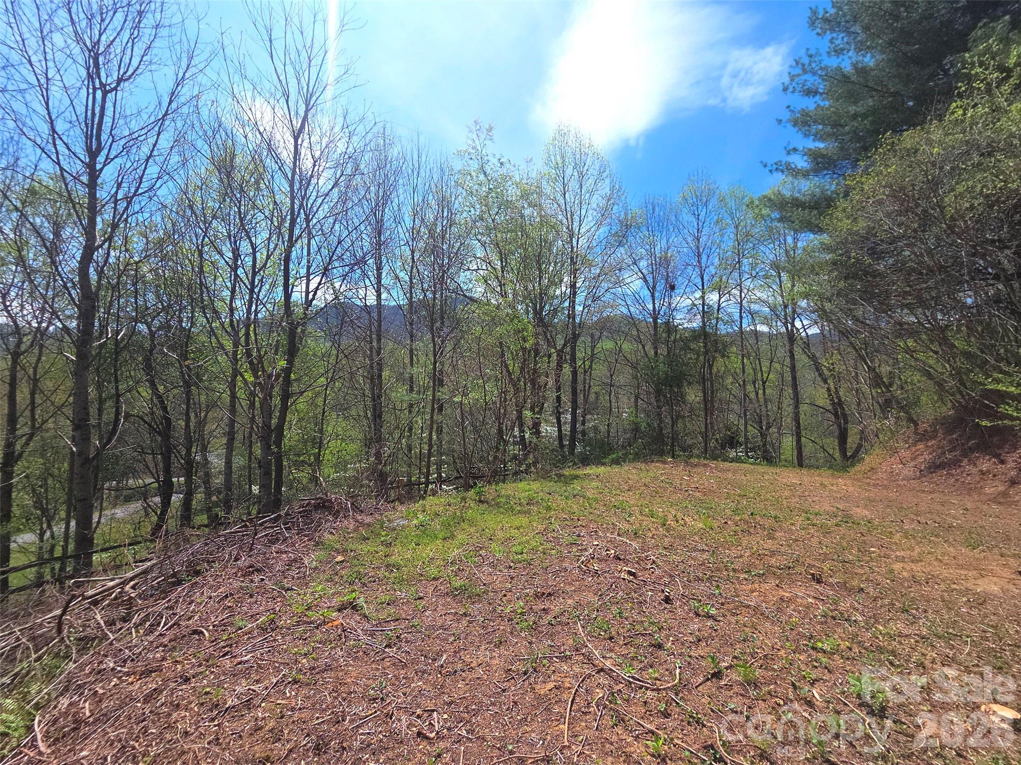 50 Turtle Rock Lane Waynesville NC 28785