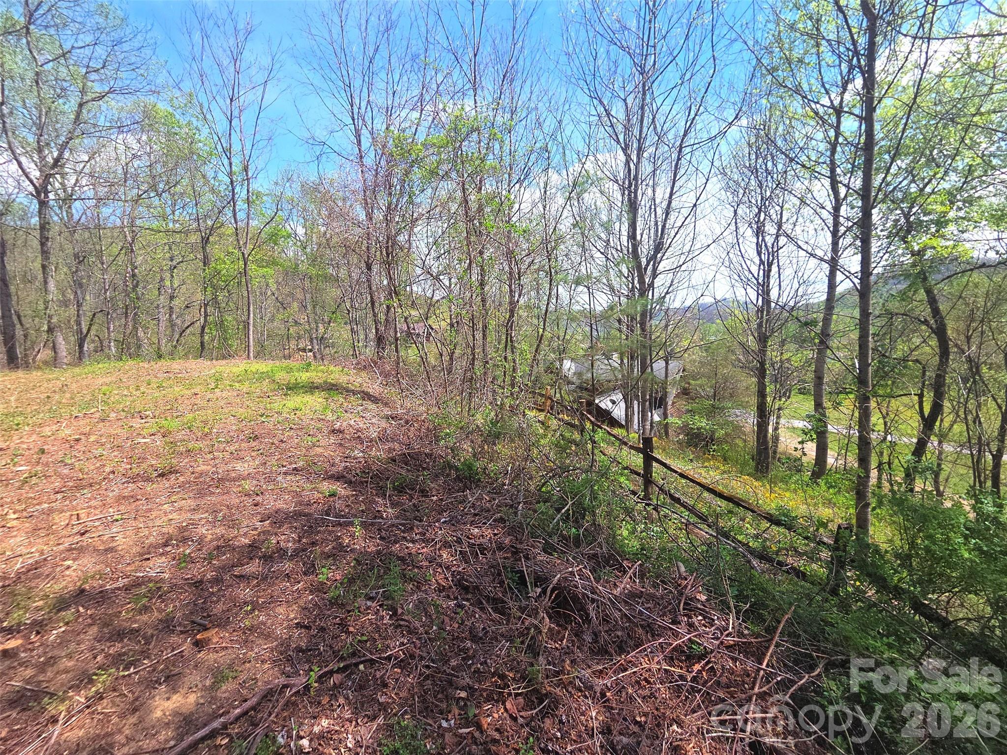 50 Turtle Rock Lane Waynesville NC 28785