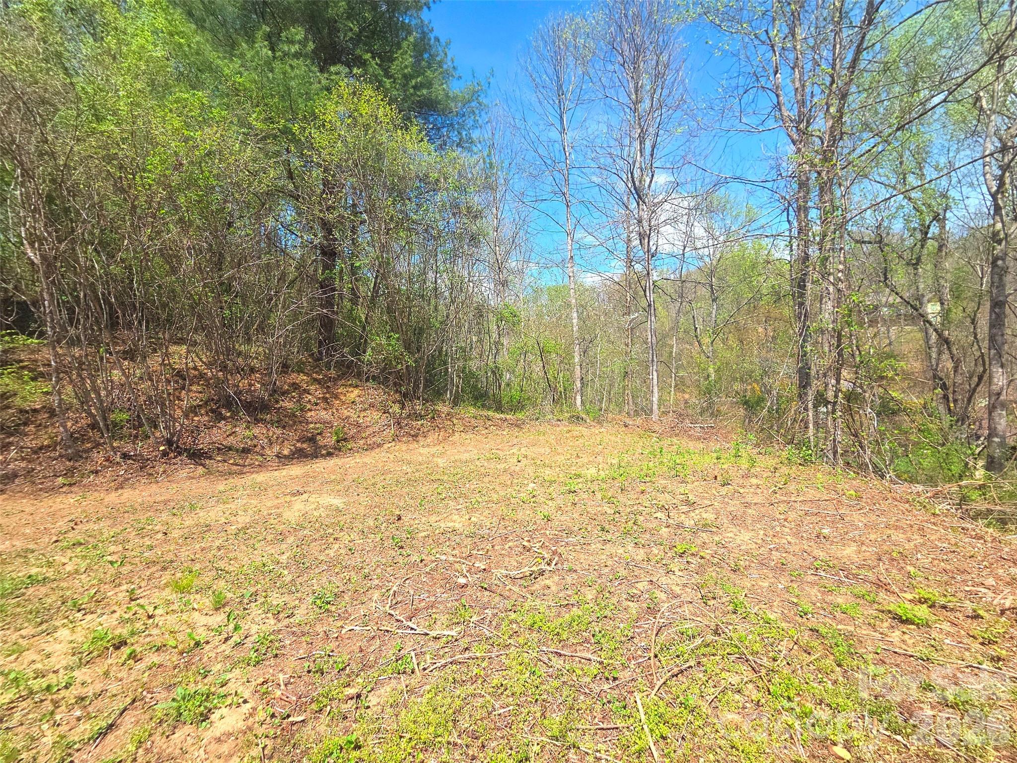 50 Turtle Rock Lane Waynesville NC 28785