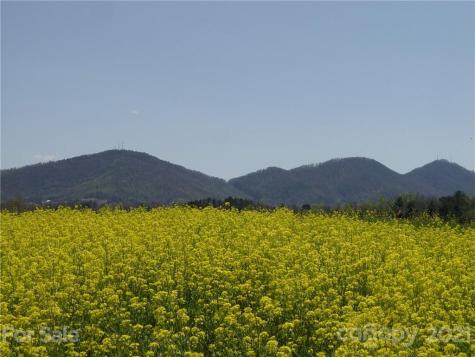 Xxxx Bear Creek Road Leicester NC 28748
