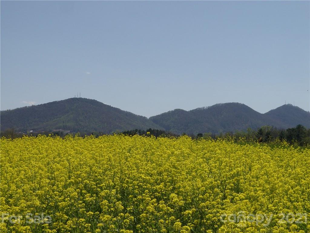 Xxxx Bear Creek Road Leicester NC 28748