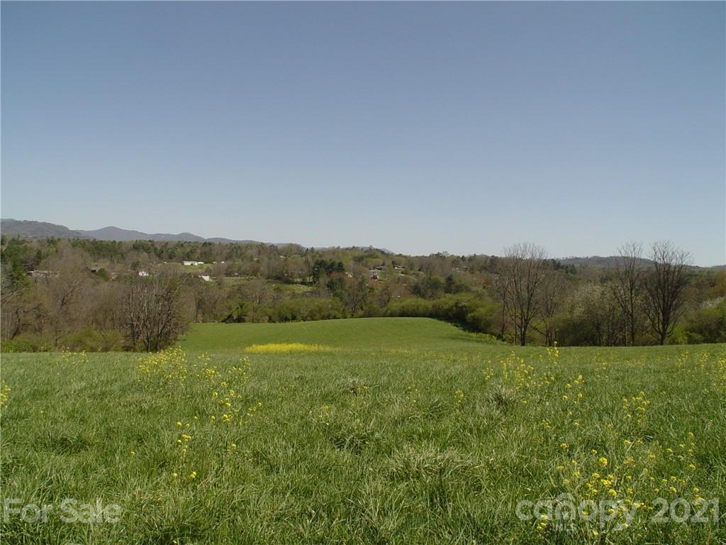 Xxxx Bear Creek Road Leicester NC 28748