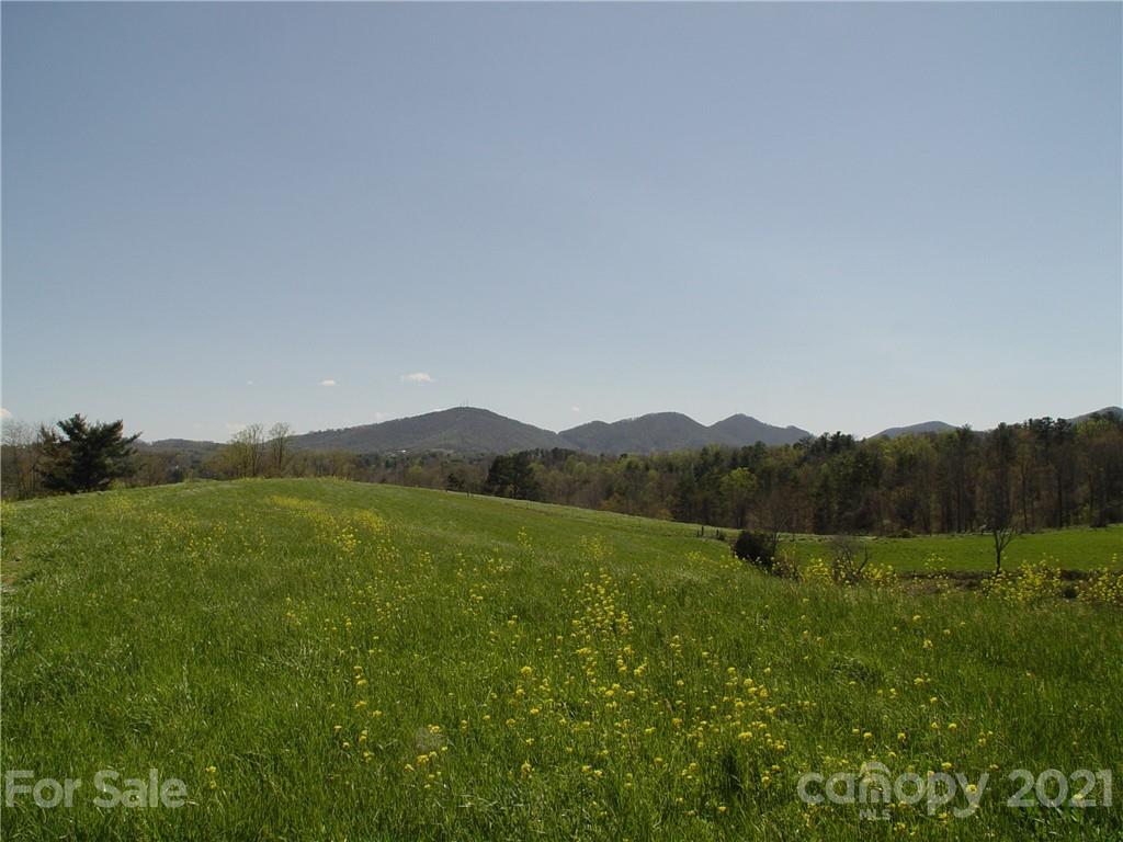 Xxxx Bear Creek Road Leicester NC 28748