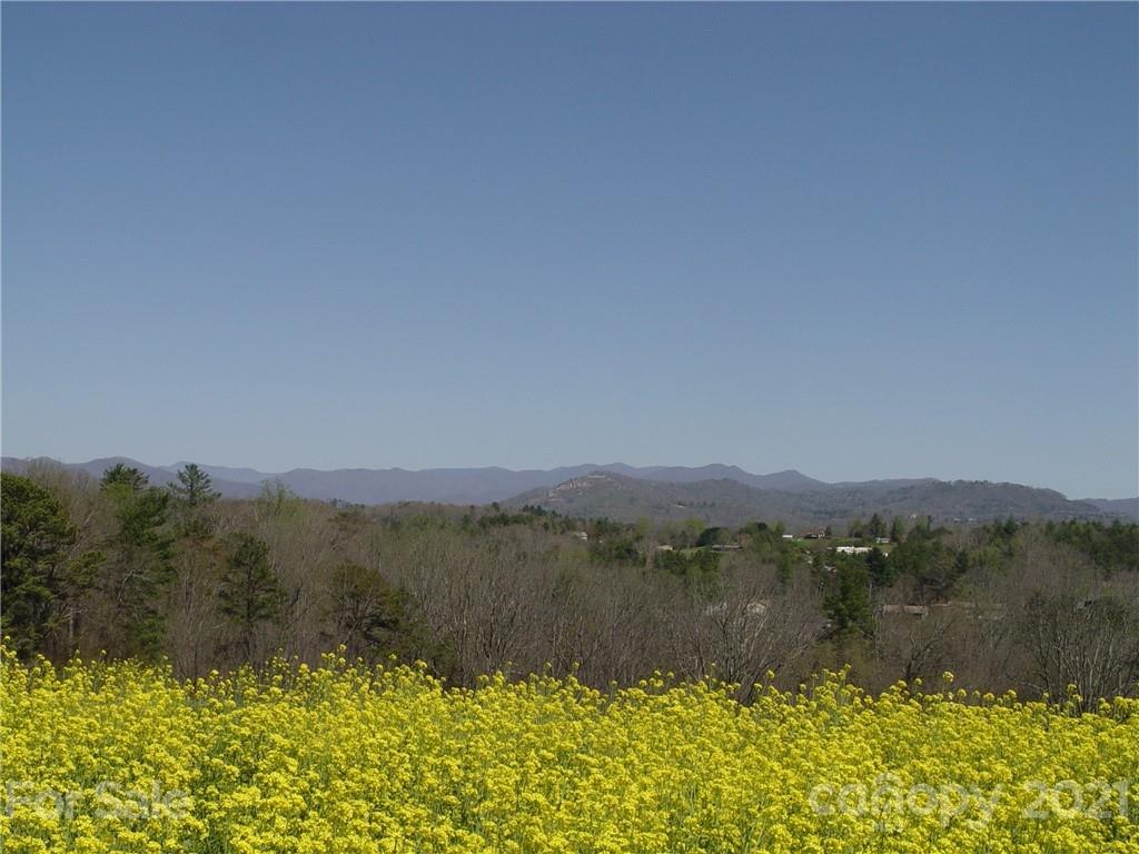 Xxxx Bear Creek Road Leicester NC 28748
