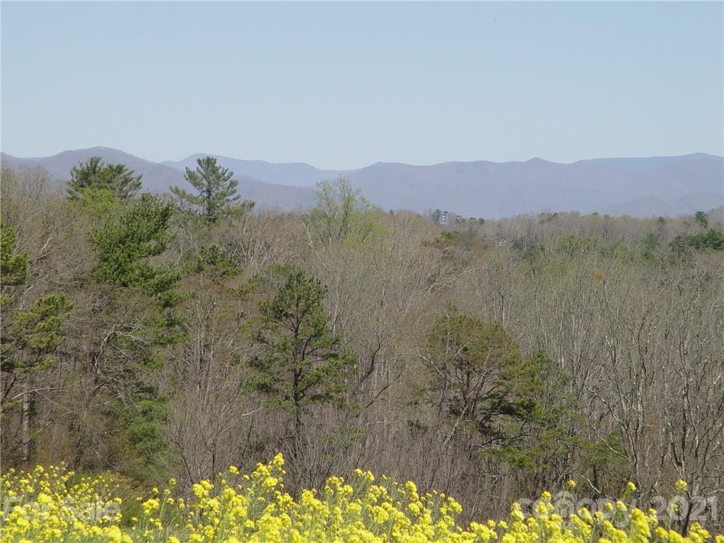 Xxxx Bear Creek Road Leicester NC 28748