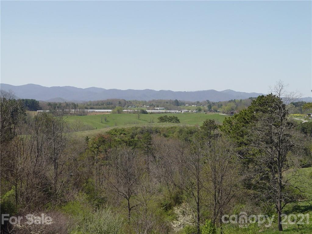 Xxxx Bear Creek Road Leicester NC 28748