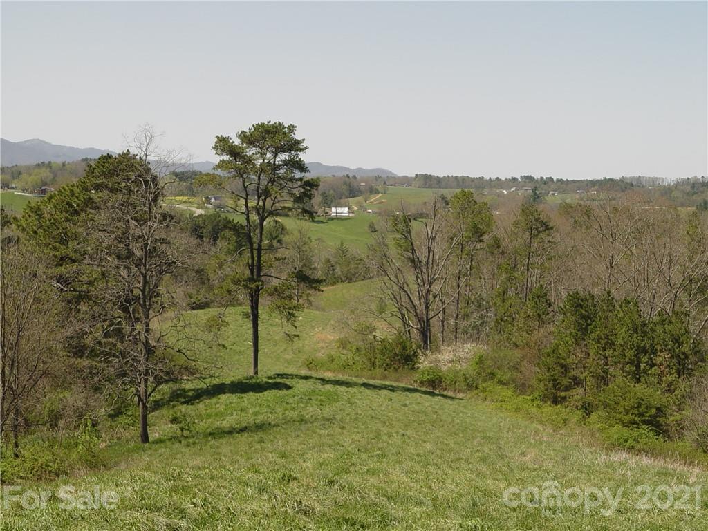 Xxxx Bear Creek Road Leicester NC 28748
