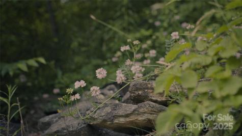 00 Dobbin Road Banner Elk NC 28604