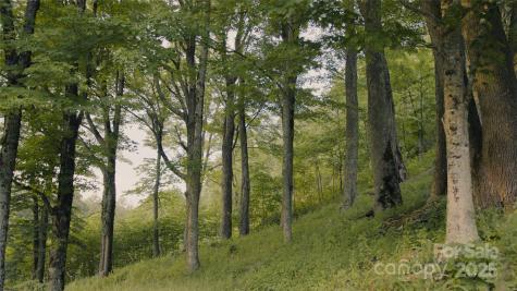 00 Dobbin Road Banner Elk NC 28604