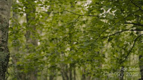 00 Dobbin Road Banner Elk NC 28604