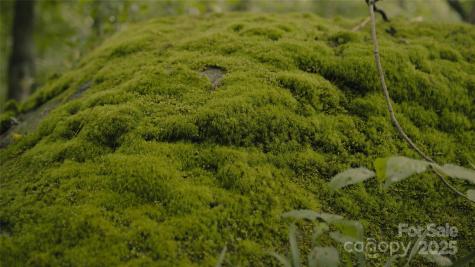 00 Dobbin Road Banner Elk NC 28604