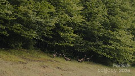 00 Dobbin Road Banner Elk NC 28604