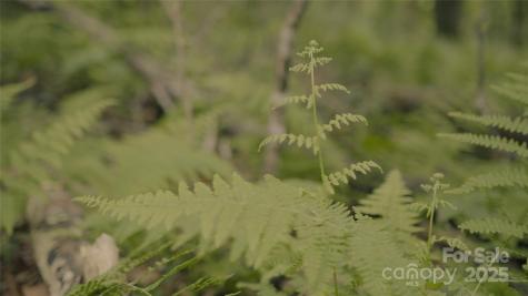 00 Dobbin Road Banner Elk NC 28604