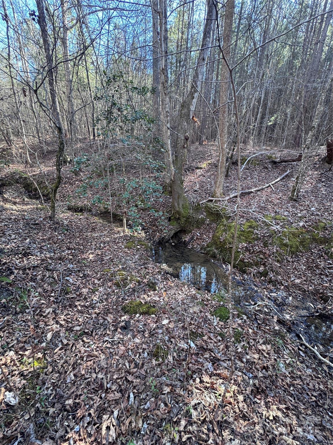 0 Black Rock Drive Rutherfordton NC 28139