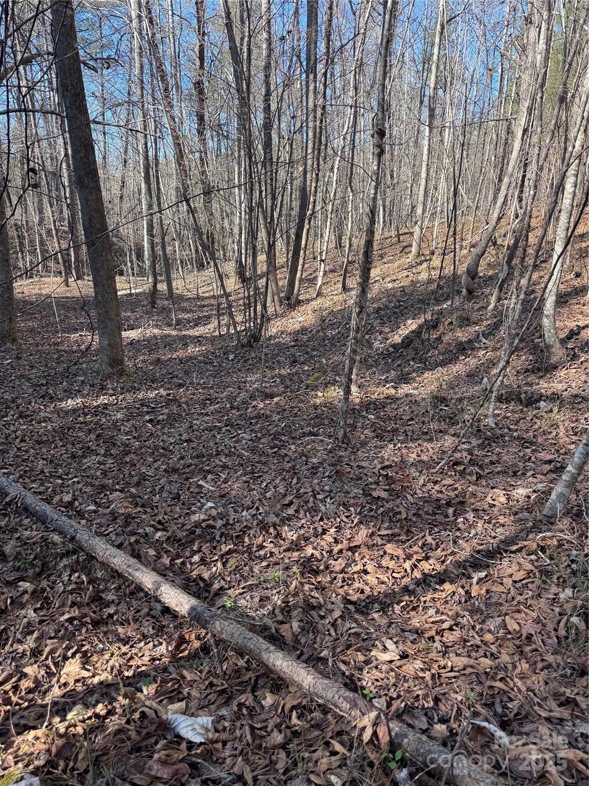 0 Black Rock Drive Rutherfordton NC 28139