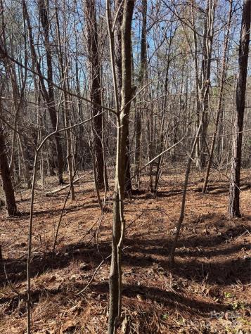 0 Black Rock Drive Rutherfordton NC 28139