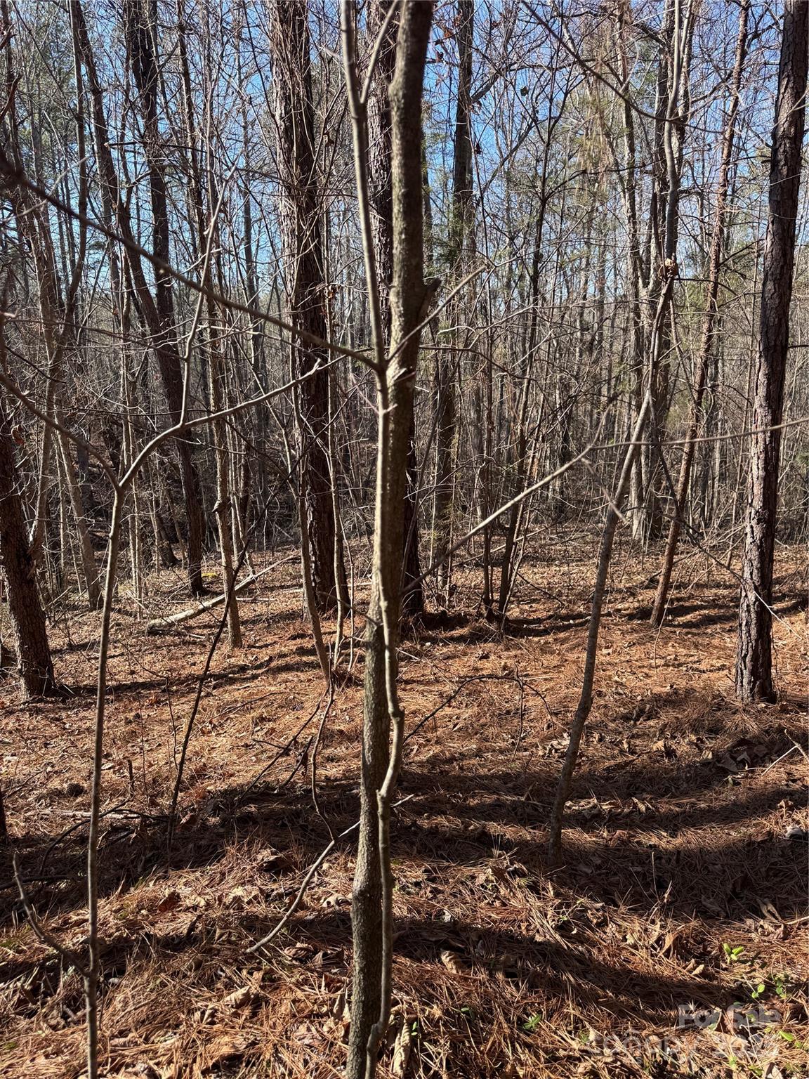 0 Black Rock Drive Rutherfordton NC 28139