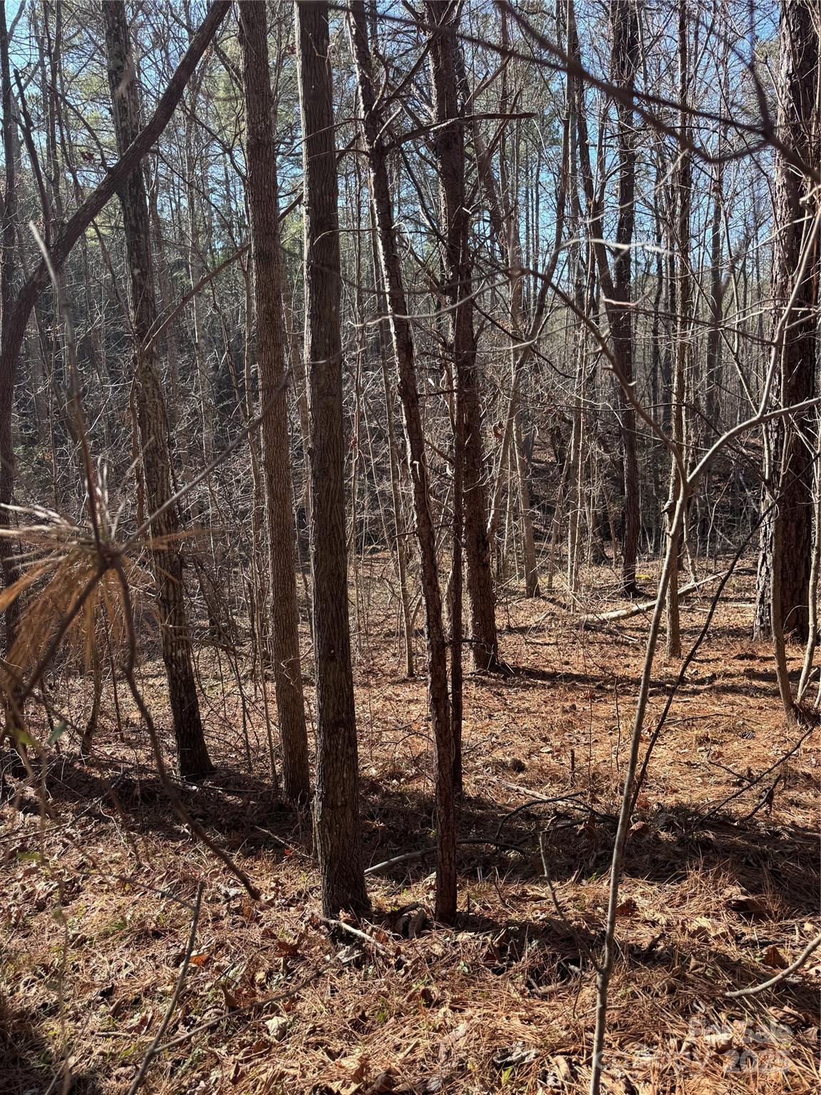0 Black Rock Drive Rutherfordton NC 28139