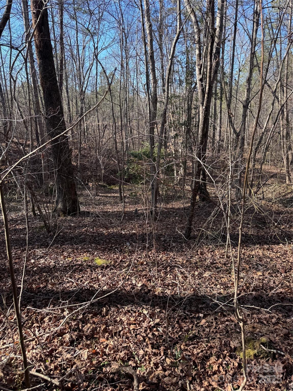 0 Black Rock Drive Rutherfordton NC 28139