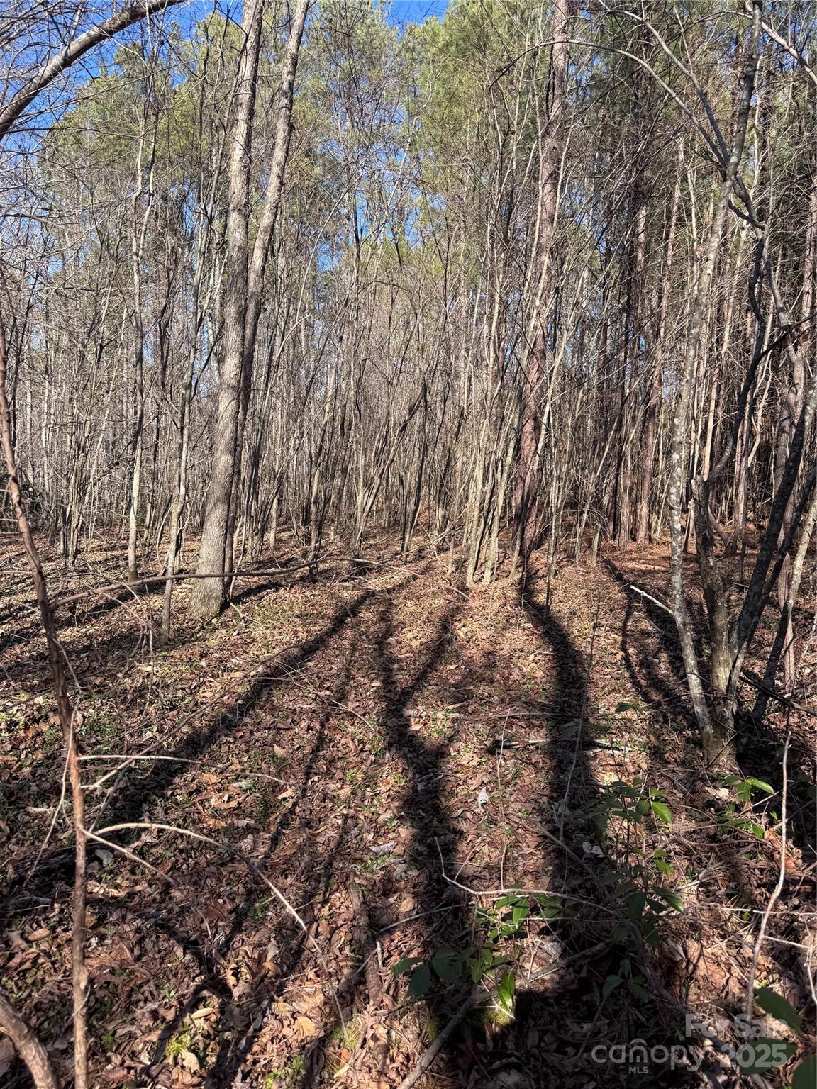 0 Black Rock Drive Rutherfordton NC 28139