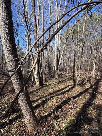 0 Black Rock Drive Rutherfordton NC 28139