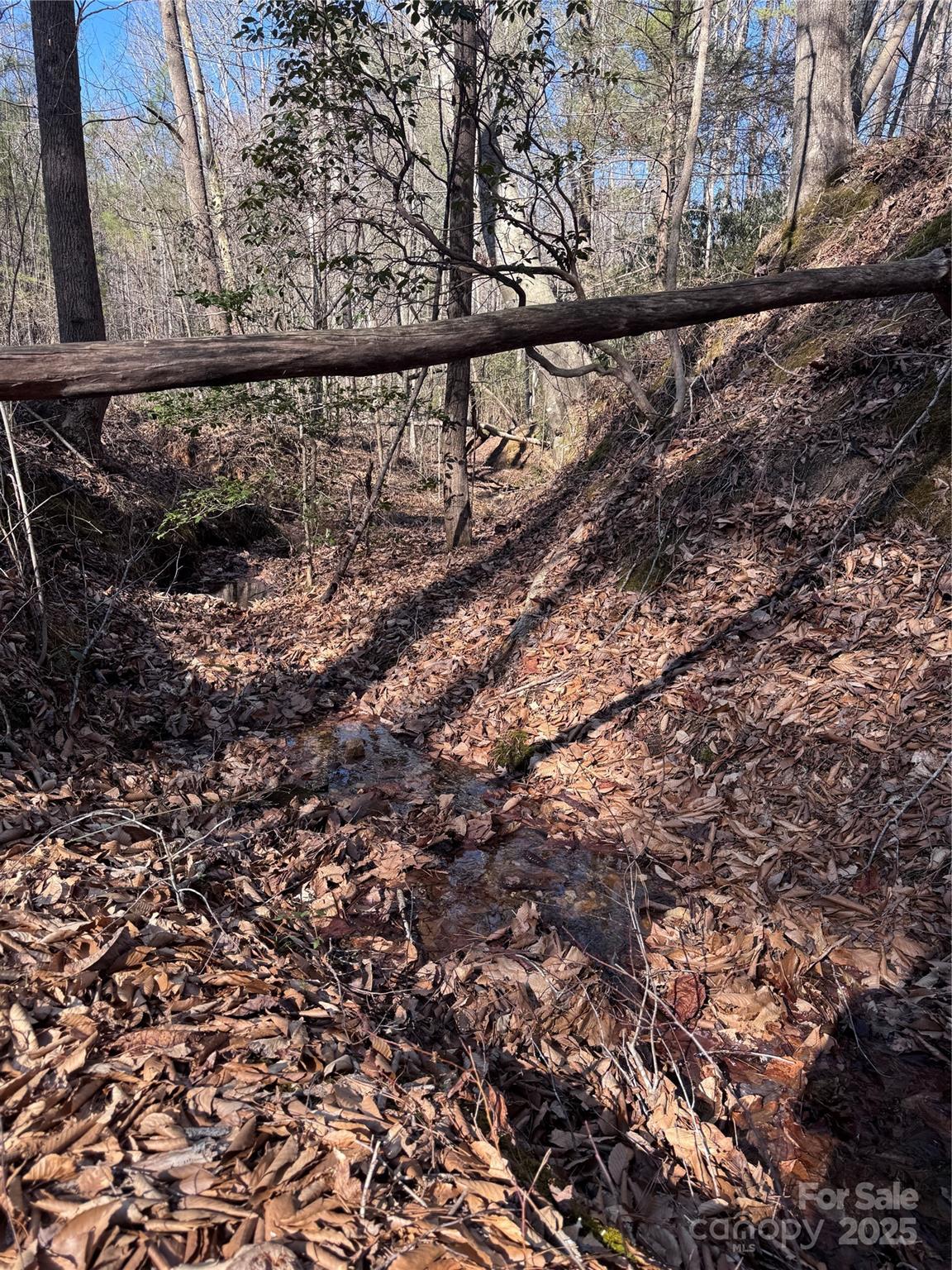 0 Black Rock Drive Rutherfordton NC 28139