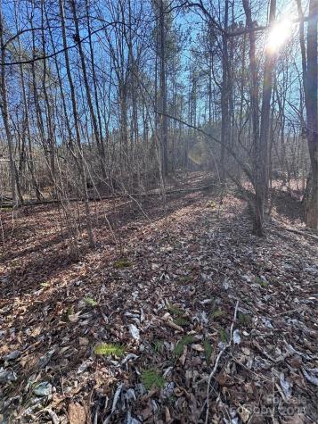 0 Black Rock Drive Rutherfordton NC 28139