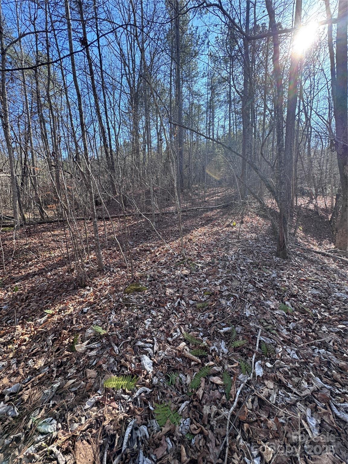 0 Black Rock Drive Rutherfordton NC 28139
