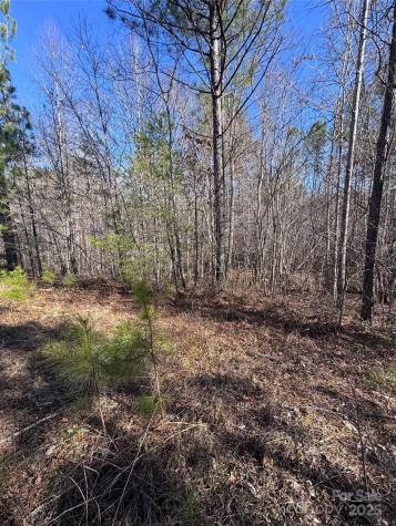 0 Black Rock Drive Rutherfordton NC 28139