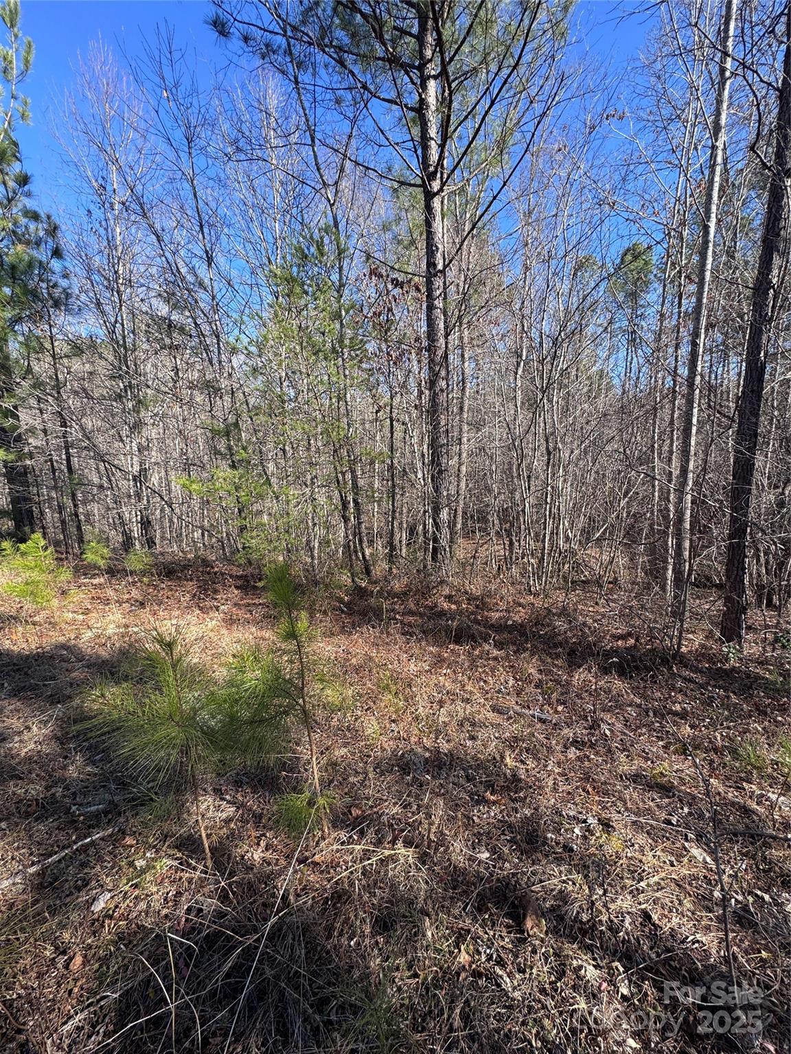 0 Black Rock Drive Rutherfordton NC 28139
