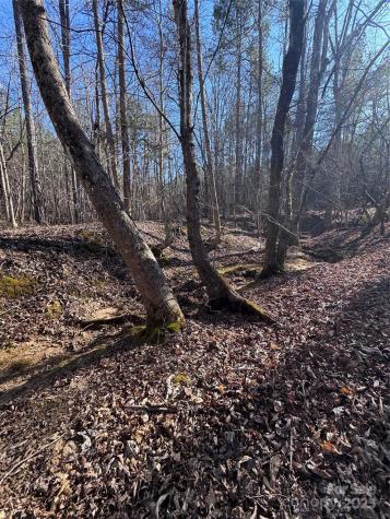 0 Black Rock Drive Rutherfordton NC 28139