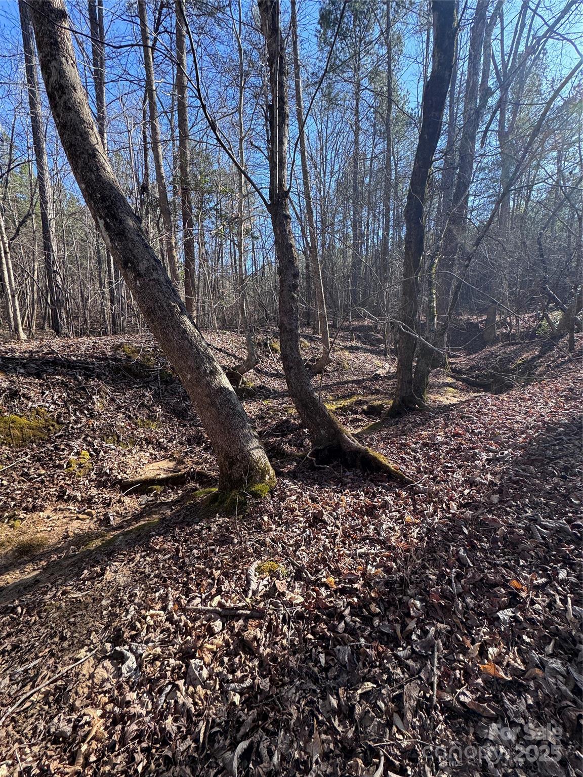 0 Black Rock Drive Rutherfordton NC 28139