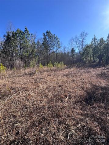 0 Black Rock Drive Rutherfordton NC 28139