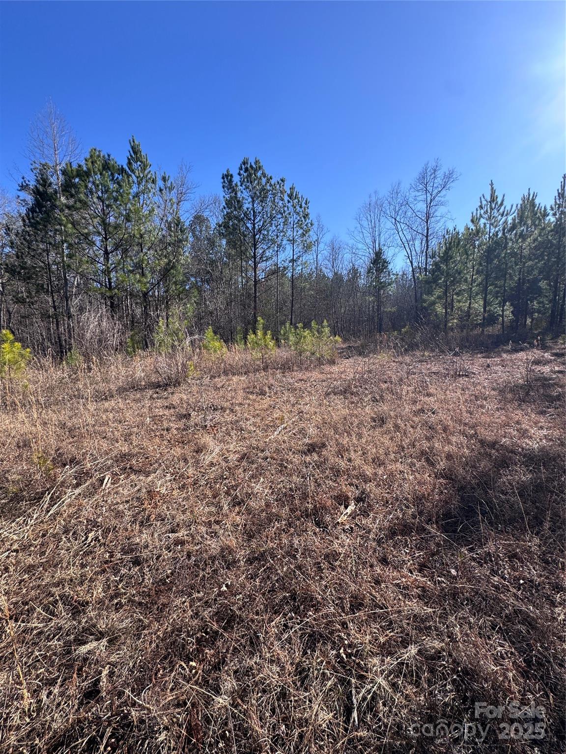 0 Black Rock Drive Rutherfordton NC 28139