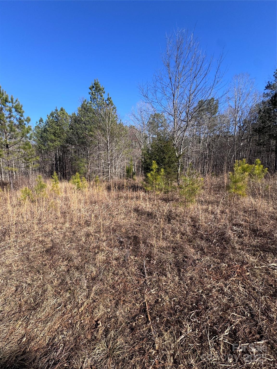 0 Black Rock Drive Rutherfordton NC 28139