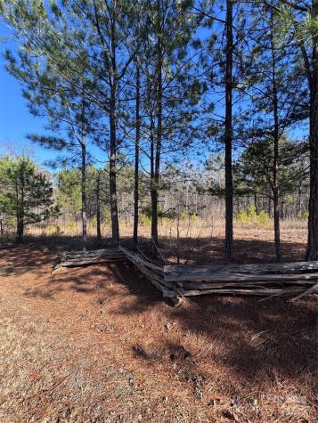 0 Black Rock Drive Rutherfordton NC 28139